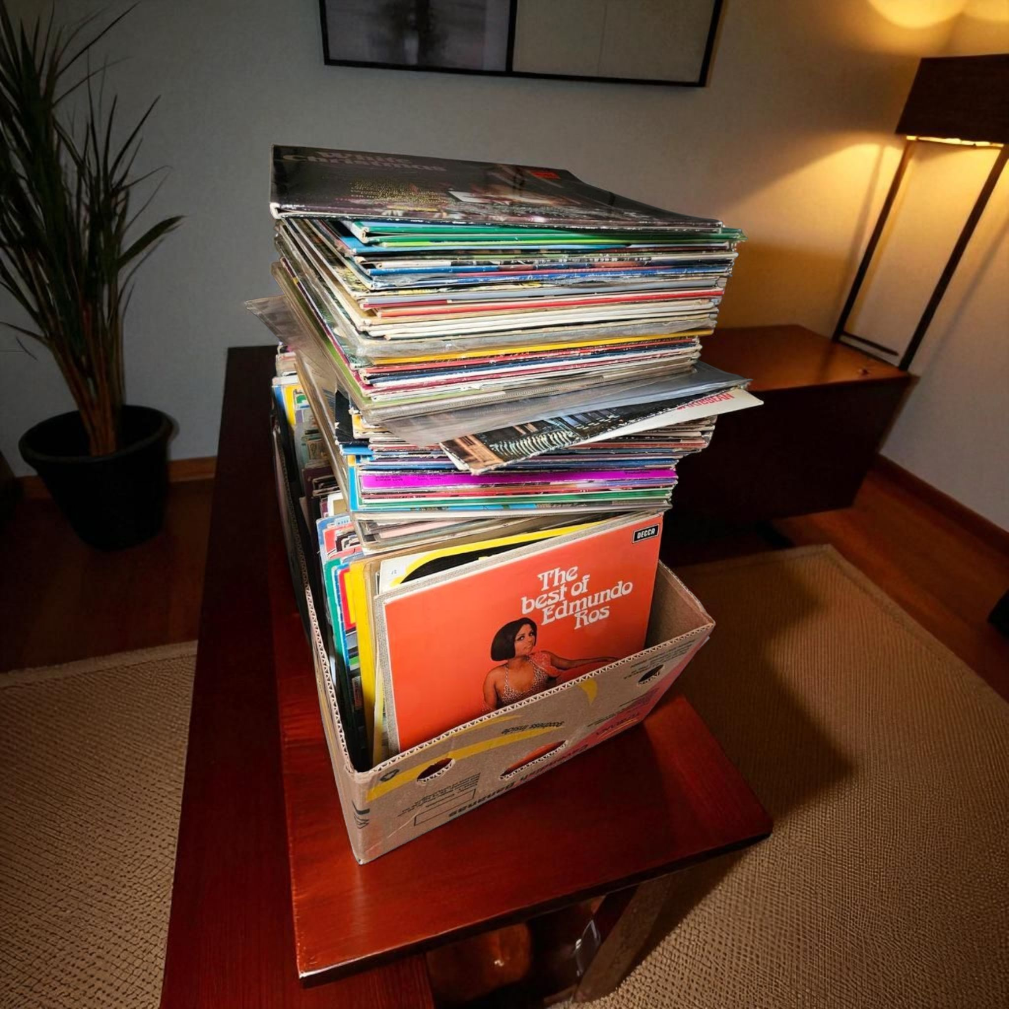 Vinyl collectie opbergen met platenbak en platenstandaard